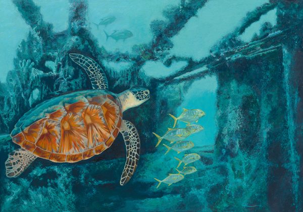 painting of sea turtle swimming through a ship wreck